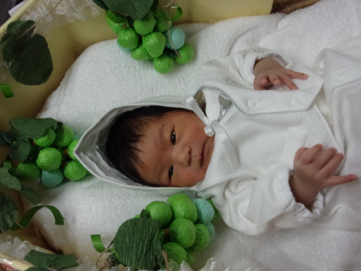 りゅうせいくん